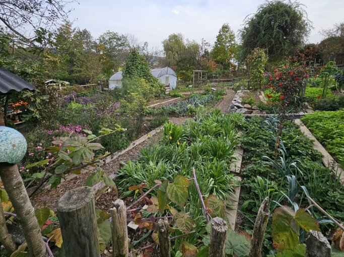 Ein Naturgarten mit vielen Gemüsebeeten, Folientunnel und Gartenhütte. | © Mattias Nemeth