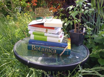 Eine Holzbrille auf einem Stapel Bücher neben einer Tomatenpflanze und auf einem Glastisch inmitten einer wilden Wiese. | © Mattias Nemeth