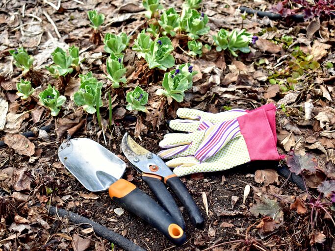 Bevor du dein Gartenwerkzeug einlagerst, kannst du einige Tipps befolgen. Benutztes Gartenwerkzeug im Herbst und Winter.